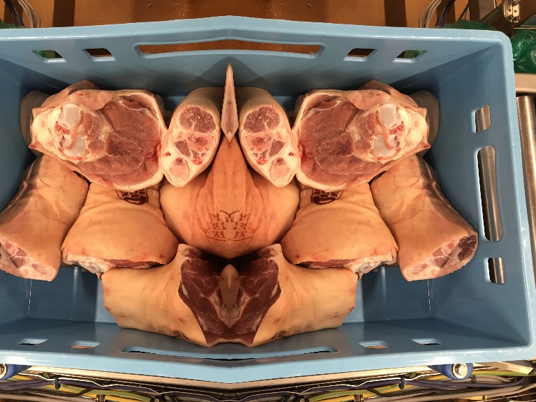 Hús kategorizálás, augmentáció (rorschach teszt) Hús kategorizálás, augmentáció (rorschach teszt)