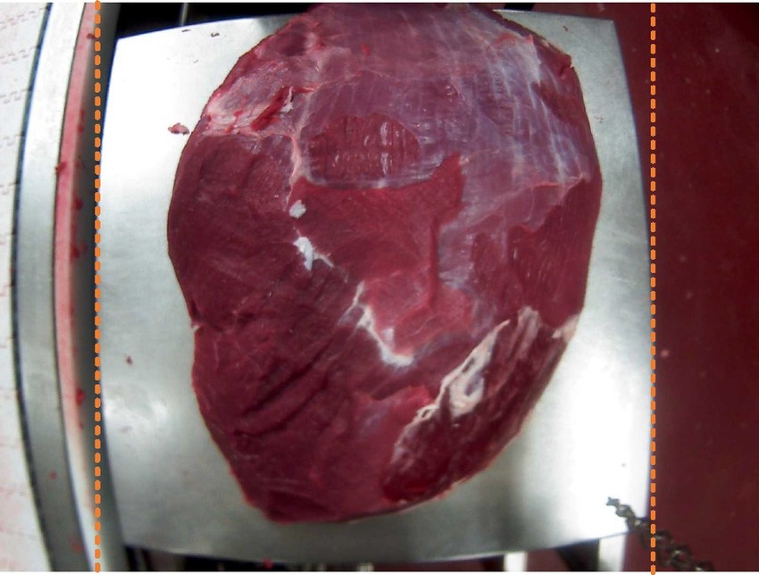 Meat Cut Dataset – Marhahús adatbázis érdekes terület kivágása Meat Cut Dataset – Marhahús adatbázis érdekes terület kivágása