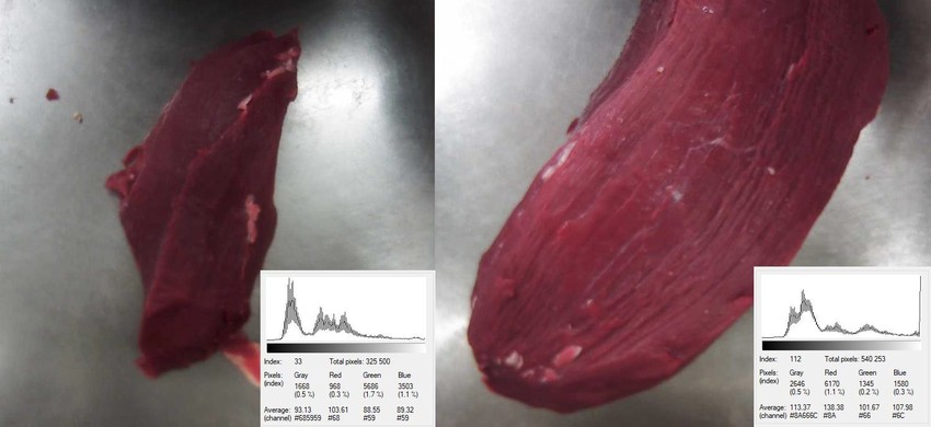 Meat Cut Dataset – Marhahús adatbázis képek tulajdonsága Meat Cut Dataset – Marhahús adatbázis képek tulajdonsága