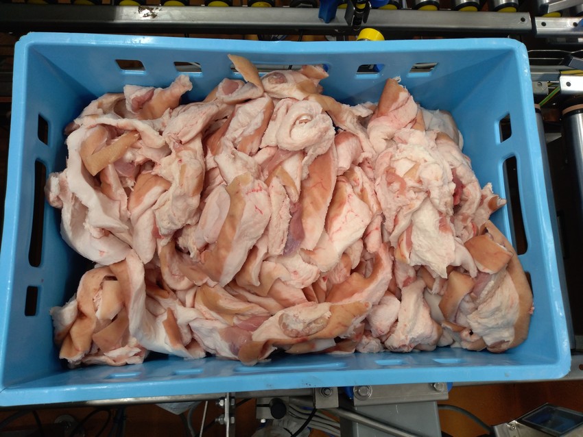 Gyártósori húsrész azonosítás - Bőrös nyesedék