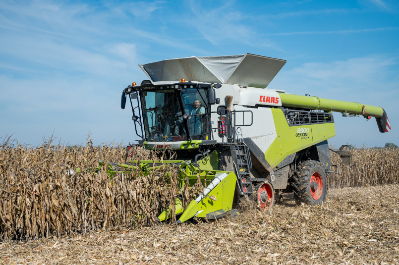 Claas kombájn kukoricát arat az új fejlesztésű szárzúzóval